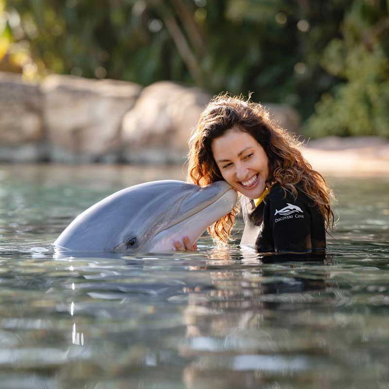 Discovery Cove Package com Sea World e Aquatica (com nado)