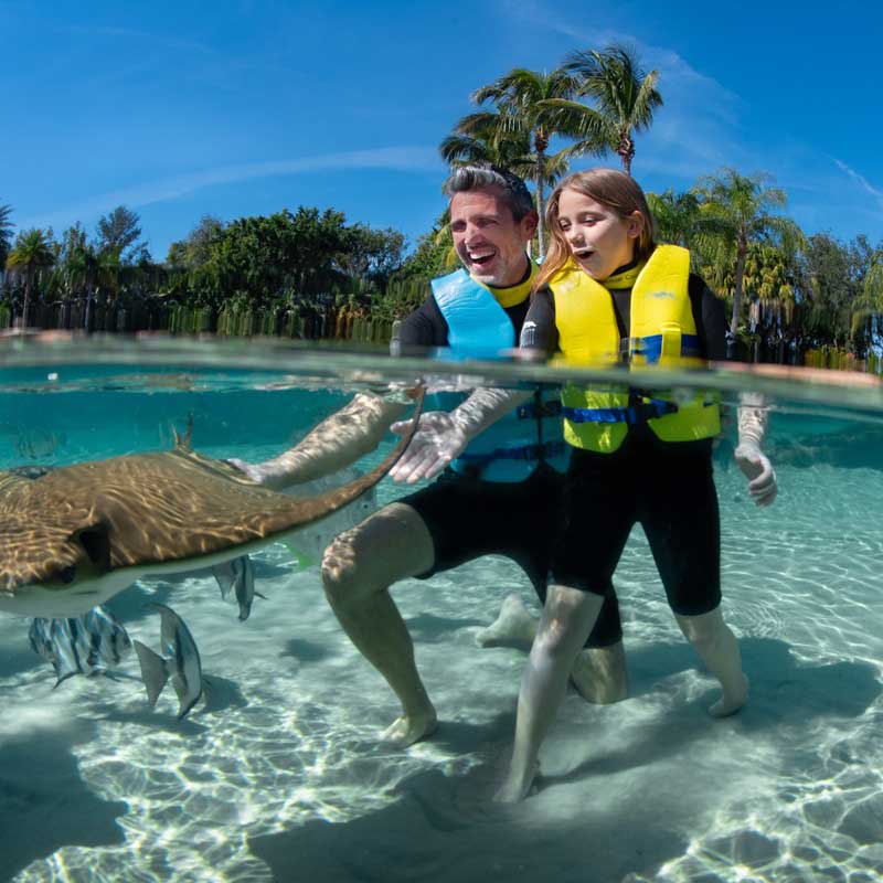 Discovery Cove 