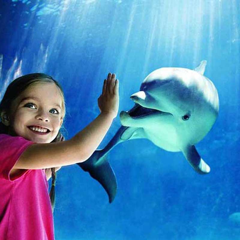 SeaWorld San Diego