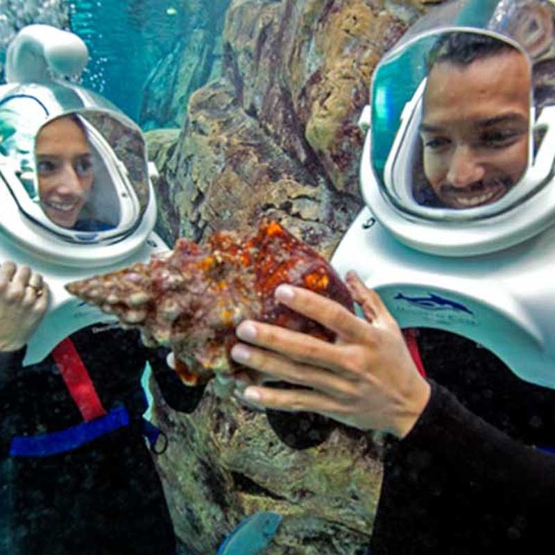 SeaVenture at Discovery Cove