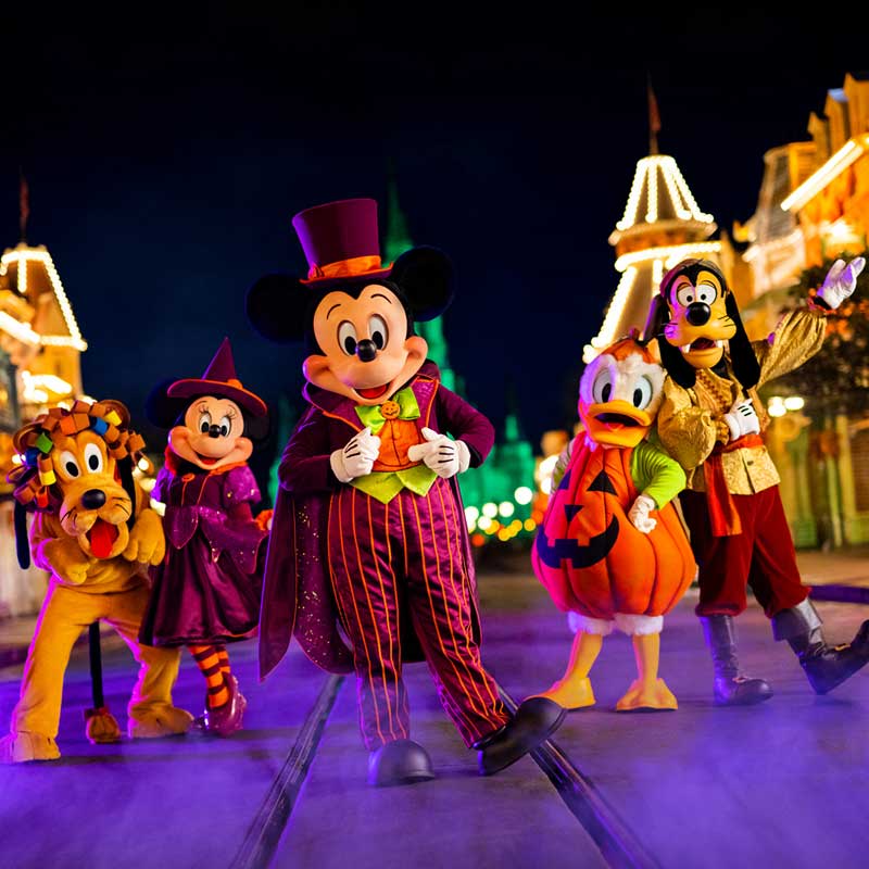 Mickey's Not So Scary Halloween Party Ticket
