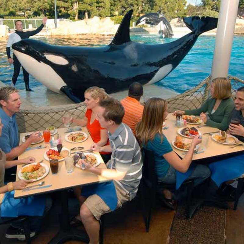 Refeição com Orcas